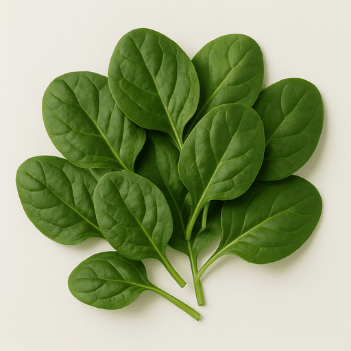 Spinach